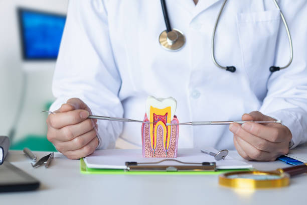 Best Knocked-Out Tooth Emergency  in Chesapeake, VA